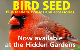 bird seed image